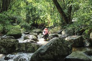 BIB: 
                            <button type="button" onclick="openModal(25105147)" class="btn btn-primary btn-sm float-right btn-popup" data-toggle="modal" data-target=".modal-high-quality">
                        <i class="fas fa-shopping-cart"></i> Add to Cart
                    </button>
                                            <button type="button" onclick="isThisMe(25105147, true)" class="btn btn-success btn-sm float-right btn-popup btn-isme hidden" data-toggle="tooltip" data-placement="bottom" title="นี่คือรูปของคุณใช่ไหม คลิกที่นี่เพื่อเอาเข้าอัลบั้ม">
                        <i class="fas fa-plus"></i> Add to album
                    </button>
                    <button type="button" onclick="isThisMe(25105147, false)" class="btn btn-warning btn-sm float-right btn-popup btn-isnotme hidden">
                        <i class="fas fa-ban"></i> Remove from album
                    </button>