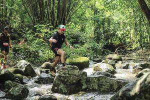 BIB: 
                            <button type="button" onclick="openModal(25104254)" class="btn btn-primary btn-sm float-right btn-popup" data-toggle="modal" data-target=".modal-high-quality">
                        <i class="fas fa-shopping-cart"></i> Add to Cart
                    </button>
                                            <button type="button" onclick="isThisMe(25104254, true)" class="btn btn-success btn-sm float-right btn-popup btn-isme hidden" data-toggle="tooltip" data-placement="bottom" title="นี่คือรูปของคุณใช่ไหม คลิกที่นี่เพื่อเอาเข้าอัลบั้ม">
                        <i class="fas fa-plus"></i> Add to album
                    </button>
                    <button type="button" onclick="isThisMe(25104254, false)" class="btn btn-warning btn-sm float-right btn-popup btn-isnotme hidden">
                        <i class="fas fa-ban"></i> Remove from album
                    </button>