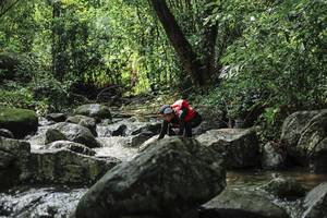 BIB: 
                            <button type="button" onclick="openModal(25105344)" class="btn btn-primary btn-sm float-right btn-popup" data-toggle="modal" data-target=".modal-high-quality">
                        <i class="fas fa-shopping-cart"></i> Add to Cart
                    </button>
                                            <button type="button" onclick="isThisMe(25105344, true)" class="btn btn-success btn-sm float-right btn-popup btn-isme hidden" data-toggle="tooltip" data-placement="bottom" title="นี่คือรูปของคุณใช่ไหม คลิกที่นี่เพื่อเอาเข้าอัลบั้ม">
                        <i class="fas fa-plus"></i> Add to album
                    </button>
                    <button type="button" onclick="isThisMe(25105344, false)" class="btn btn-warning btn-sm float-right btn-popup btn-isnotme hidden">
                        <i class="fas fa-ban"></i> Remove from album
                    </button>