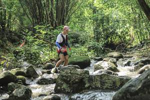 BIB: 
                            <button type="button" onclick="openModal(25105020)" class="btn btn-primary btn-sm float-right btn-popup" data-toggle="modal" data-target=".modal-high-quality">
                        <i class="fas fa-shopping-cart"></i> Add to Cart
                    </button>
                                            <button type="button" onclick="isThisMe(25105020, true)" class="btn btn-success btn-sm float-right btn-popup btn-isme hidden" data-toggle="tooltip" data-placement="bottom" title="นี่คือรูปของคุณใช่ไหม คลิกที่นี่เพื่อเอาเข้าอัลบั้ม">
                        <i class="fas fa-plus"></i> Add to album
                    </button>
                    <button type="button" onclick="isThisMe(25105020, false)" class="btn btn-warning btn-sm float-right btn-popup btn-isnotme hidden">
                        <i class="fas fa-ban"></i> Remove from album
                    </button>