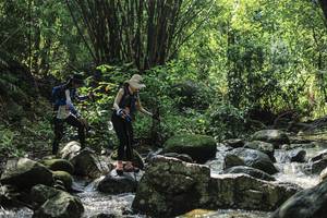 BIB: 
                            <button type="button" onclick="openModal(25105514)" class="btn btn-primary btn-sm float-right btn-popup" data-toggle="modal" data-target=".modal-high-quality">
                        <i class="fas fa-shopping-cart"></i> Add to Cart
                    </button>
                                            <button type="button" onclick="isThisMe(25105514, true)" class="btn btn-success btn-sm float-right btn-popup btn-isme hidden" data-toggle="tooltip" data-placement="bottom" title="นี่คือรูปของคุณใช่ไหม คลิกที่นี่เพื่อเอาเข้าอัลบั้ม">
                        <i class="fas fa-plus"></i> Add to album
                    </button>
                    <button type="button" onclick="isThisMe(25105514, false)" class="btn btn-warning btn-sm float-right btn-popup btn-isnotme hidden">
                        <i class="fas fa-ban"></i> Remove from album
                    </button>