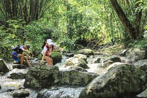 BIB: 
                            <button type="button" onclick="openModal(25104879)" class="btn btn-primary btn-sm float-right btn-popup" data-toggle="modal" data-target=".modal-high-quality">
                        <i class="fas fa-shopping-cart"></i> Add to Cart
                    </button>
                                            <button type="button" onclick="isThisMe(25104879, true)" class="btn btn-success btn-sm float-right btn-popup btn-isme hidden" data-toggle="tooltip" data-placement="bottom" title="นี่คือรูปของคุณใช่ไหม คลิกที่นี่เพื่อเอาเข้าอัลบั้ม">
                        <i class="fas fa-plus"></i> Add to album
                    </button>
                    <button type="button" onclick="isThisMe(25104879, false)" class="btn btn-warning btn-sm float-right btn-popup btn-isnotme hidden">
                        <i class="fas fa-ban"></i> Remove from album
                    </button>