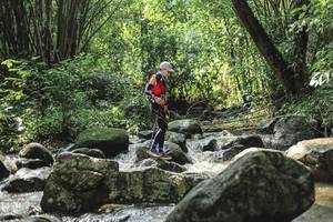 BIB: 
                            <button type="button" onclick="openModal(25105488)" class="btn btn-primary btn-sm float-right btn-popup" data-toggle="modal" data-target=".modal-high-quality">
                        <i class="fas fa-shopping-cart"></i> Add to Cart
                    </button>
                                            <button type="button" onclick="isThisMe(25105488, true)" class="btn btn-success btn-sm float-right btn-popup btn-isme hidden" data-toggle="tooltip" data-placement="bottom" title="นี่คือรูปของคุณใช่ไหม คลิกที่นี่เพื่อเอาเข้าอัลบั้ม">
                        <i class="fas fa-plus"></i> Add to album
                    </button>
                    <button type="button" onclick="isThisMe(25105488, false)" class="btn btn-warning btn-sm float-right btn-popup btn-isnotme hidden">
                        <i class="fas fa-ban"></i> Remove from album
                    </button>