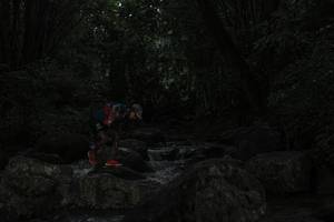 BIB: 
                            <button type="button" onclick="openModal(25102608)" class="btn btn-primary btn-sm float-right btn-popup" data-toggle="modal" data-target=".modal-high-quality">
                        <i class="fas fa-shopping-cart"></i> Add to Cart
                    </button>
                                            <button type="button" onclick="isThisMe(25102608, true)" class="btn btn-success btn-sm float-right btn-popup btn-isme hidden" data-toggle="tooltip" data-placement="bottom" title="นี่คือรูปของคุณใช่ไหม คลิกที่นี่เพื่อเอาเข้าอัลบั้ม">
                        <i class="fas fa-plus"></i> Add to album
                    </button>
                    <button type="button" onclick="isThisMe(25102608, false)" class="btn btn-warning btn-sm float-right btn-popup btn-isnotme hidden">
                        <i class="fas fa-ban"></i> Remove from album
                    </button>