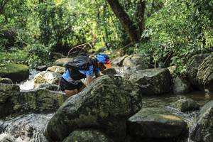 BIB: 
                            <button type="button" onclick="openModal(25104493)" class="btn btn-primary btn-sm float-right btn-popup" data-toggle="modal" data-target=".modal-high-quality">
                        <i class="fas fa-shopping-cart"></i> Add to Cart
                    </button>
                                            <button type="button" onclick="isThisMe(25104493, true)" class="btn btn-success btn-sm float-right btn-popup btn-isme hidden" data-toggle="tooltip" data-placement="bottom" title="นี่คือรูปของคุณใช่ไหม คลิกที่นี่เพื่อเอาเข้าอัลบั้ม">
                        <i class="fas fa-plus"></i> Add to album
                    </button>
                    <button type="button" onclick="isThisMe(25104493, false)" class="btn btn-warning btn-sm float-right btn-popup btn-isnotme hidden">
                        <i class="fas fa-ban"></i> Remove from album
                    </button>