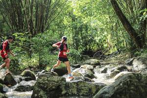 BIB: 
                            <button type="button" onclick="openModal(25104675)" class="btn btn-primary btn-sm float-right btn-popup" data-toggle="modal" data-target=".modal-high-quality">
                        <i class="fas fa-shopping-cart"></i> Add to Cart
                    </button>
                                            <button type="button" onclick="isThisMe(25104675, true)" class="btn btn-success btn-sm float-right btn-popup btn-isme hidden" data-toggle="tooltip" data-placement="bottom" title="นี่คือรูปของคุณใช่ไหม คลิกที่นี่เพื่อเอาเข้าอัลบั้ม">
                        <i class="fas fa-plus"></i> Add to album
                    </button>
                    <button type="button" onclick="isThisMe(25104675, false)" class="btn btn-warning btn-sm float-right btn-popup btn-isnotme hidden">
                        <i class="fas fa-ban"></i> Remove from album
                    </button>