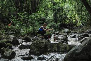 BIB: 
                            <button type="button" onclick="openModal(25105353)" class="btn btn-primary btn-sm float-right btn-popup" data-toggle="modal" data-target=".modal-high-quality">
                        <i class="fas fa-shopping-cart"></i> Add to Cart
                    </button>
                                            <button type="button" onclick="isThisMe(25105353, true)" class="btn btn-success btn-sm float-right btn-popup btn-isme hidden" data-toggle="tooltip" data-placement="bottom" title="นี่คือรูปของคุณใช่ไหม คลิกที่นี่เพื่อเอาเข้าอัลบั้ม">
                        <i class="fas fa-plus"></i> Add to album
                    </button>
                    <button type="button" onclick="isThisMe(25105353, false)" class="btn btn-warning btn-sm float-right btn-popup btn-isnotme hidden">
                        <i class="fas fa-ban"></i> Remove from album
                    </button>