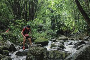 BIB: 
                            <button type="button" onclick="openModal(25103693)" class="btn btn-primary btn-sm float-right btn-popup" data-toggle="modal" data-target=".modal-high-quality">
                        <i class="fas fa-shopping-cart"></i> Add to Cart
                    </button>
                                            <button type="button" onclick="isThisMe(25103693, true)" class="btn btn-success btn-sm float-right btn-popup btn-isme hidden" data-toggle="tooltip" data-placement="bottom" title="นี่คือรูปของคุณใช่ไหม คลิกที่นี่เพื่อเอาเข้าอัลบั้ม">
                        <i class="fas fa-plus"></i> Add to album
                    </button>
                    <button type="button" onclick="isThisMe(25103693, false)" class="btn btn-warning btn-sm float-right btn-popup btn-isnotme hidden">
                        <i class="fas fa-ban"></i> Remove from album
                    </button>