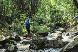 BIB: 
                            <button type="button" onclick="openModal(25104917)" class="btn btn-primary btn-sm float-right btn-popup" data-toggle="modal" data-target=".modal-high-quality">
                        <i class="fas fa-shopping-cart"></i> Add to Cart
                    </button>
                                            <button type="button" onclick="isThisMe(25104917, true)" class="btn btn-success btn-sm float-right btn-popup btn-isme hidden" data-toggle="tooltip" data-placement="bottom" title="นี่คือรูปของคุณใช่ไหม คลิกที่นี่เพื่อเอาเข้าอัลบั้ม">
                        <i class="fas fa-plus"></i> Add to album
                    </button>
                    <button type="button" onclick="isThisMe(25104917, false)" class="btn btn-warning btn-sm float-right btn-popup btn-isnotme hidden">
                        <i class="fas fa-ban"></i> Remove from album
                    </button>