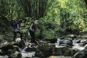 BIB: 
                            <button type="button" onclick="openModal(25105515)" class="btn btn-primary btn-sm float-right btn-popup" data-toggle="modal" data-target=".modal-high-quality">
                        <i class="fas fa-shopping-cart"></i> Add to Cart
                    </button>
                                            <button type="button" onclick="isThisMe(25105515, true)" class="btn btn-success btn-sm float-right btn-popup btn-isme hidden" data-toggle="tooltip" data-placement="bottom" title="นี่คือรูปของคุณใช่ไหม คลิกที่นี่เพื่อเอาเข้าอัลบั้ม">
                        <i class="fas fa-plus"></i> Add to album
                    </button>
                    <button type="button" onclick="isThisMe(25105515, false)" class="btn btn-warning btn-sm float-right btn-popup btn-isnotme hidden">
                        <i class="fas fa-ban"></i> Remove from album
                    </button>