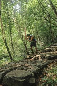 BIB: 
                            <button type="button" onclick="openModal(25195519)" class="btn btn-primary btn-sm float-right btn-popup" data-toggle="modal" data-target=".modal-high-quality">
                        <i class="fas fa-shopping-cart"></i> Add to Cart
                    </button>
                                            <button type="button" onclick="isThisMe(25195519, true)" class="btn btn-success btn-sm float-right btn-popup btn-isme hidden" data-toggle="tooltip" data-placement="bottom" title="นี่คือรูปของคุณใช่ไหม คลิกที่นี่เพื่อเอาเข้าอัลบั้ม">
                        <i class="fas fa-plus"></i> Add to album
                    </button>
                    <button type="button" onclick="isThisMe(25195519, false)" class="btn btn-warning btn-sm float-right btn-popup btn-isnotme hidden">
                        <i class="fas fa-ban"></i> Remove from album
                    </button>