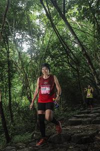 BIB: 
                            <button type="button" onclick="openModal(25196095)" class="btn btn-primary btn-sm float-right btn-popup" data-toggle="modal" data-target=".modal-high-quality">
                        <i class="fas fa-shopping-cart"></i> Add to Cart
                    </button>
                                            <button type="button" onclick="isThisMe(25196095, true)" class="btn btn-success btn-sm float-right btn-popup btn-isme hidden" data-toggle="tooltip" data-placement="bottom" title="นี่คือรูปของคุณใช่ไหม คลิกที่นี่เพื่อเอาเข้าอัลบั้ม">
                        <i class="fas fa-plus"></i> Add to album
                    </button>
                    <button type="button" onclick="isThisMe(25196095, false)" class="btn btn-warning btn-sm float-right btn-popup btn-isnotme hidden">
                        <i class="fas fa-ban"></i> Remove from album
                    </button>