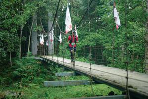 BIB: 
                            <button type="button" onclick="openModal(25063697)" class="btn btn-primary btn-sm float-right btn-popup" data-toggle="modal" data-target=".modal-high-quality">
                        <i class="fas fa-shopping-cart"></i> Add to Cart
                    </button>
                                            <button type="button" onclick="isThisMe(25063697, true)" class="btn btn-success btn-sm float-right btn-popup btn-isme hidden" data-toggle="tooltip" data-placement="bottom" title="นี่คือรูปของคุณใช่ไหม คลิกที่นี่เพื่อเอาเข้าอัลบั้ม">
                        <i class="fas fa-plus"></i> Add to album
                    </button>
                    <button type="button" onclick="isThisMe(25063697, false)" class="btn btn-warning btn-sm float-right btn-popup btn-isnotme hidden">
                        <i class="fas fa-ban"></i> Remove from album
                    </button>