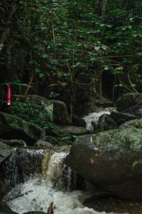 BIB: 
                            <button type="button" onclick="openModal(25142186)" class="btn btn-primary btn-sm float-right btn-popup" data-toggle="modal" data-target=".modal-high-quality">
                        <i class="fas fa-shopping-cart"></i> Add to Cart
                    </button>
                                            <button type="button" onclick="isThisMe(25142186, true)" class="btn btn-success btn-sm float-right btn-popup btn-isme hidden" data-toggle="tooltip" data-placement="bottom" title="นี่คือรูปของคุณใช่ไหม คลิกที่นี่เพื่อเอาเข้าอัลบั้ม">
                        <i class="fas fa-plus"></i> Add to album
                    </button>
                    <button type="button" onclick="isThisMe(25142186, false)" class="btn btn-warning btn-sm float-right btn-popup btn-isnotme hidden">
                        <i class="fas fa-ban"></i> Remove from album
                    </button>