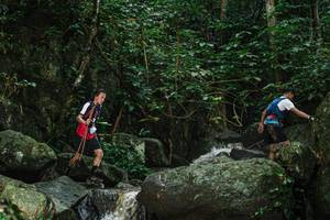 BIB: 
                            <button type="button" onclick="openModal(25142335)" class="btn btn-primary btn-sm float-right btn-popup" data-toggle="modal" data-target=".modal-high-quality">
                        <i class="fas fa-shopping-cart"></i> Add to Cart
                    </button>
                                            <button type="button" onclick="isThisMe(25142335, true)" class="btn btn-success btn-sm float-right btn-popup btn-isme hidden" data-toggle="tooltip" data-placement="bottom" title="นี่คือรูปของคุณใช่ไหม คลิกที่นี่เพื่อเอาเข้าอัลบั้ม">
                        <i class="fas fa-plus"></i> Add to album
                    </button>
                    <button type="button" onclick="isThisMe(25142335, false)" class="btn btn-warning btn-sm float-right btn-popup btn-isnotme hidden">
                        <i class="fas fa-ban"></i> Remove from album
                    </button>