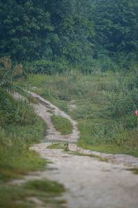 BIB: 
                            <button type="button" onclick="openModal(25125103)" class="btn btn-primary btn-sm float-right btn-popup" data-toggle="modal" data-target=".modal-high-quality">
                        <i class="fas fa-shopping-cart"></i> Add to Cart
                    </button>
                                            <button type="button" onclick="isThisMe(25125103, true)" class="btn btn-success btn-sm float-right btn-popup btn-isme hidden" data-toggle="tooltip" data-placement="bottom" title="นี่คือรูปของคุณใช่ไหม คลิกที่นี่เพื่อเอาเข้าอัลบั้ม">
                        <i class="fas fa-plus"></i> Add to album
                    </button>
                    <button type="button" onclick="isThisMe(25125103, false)" class="btn btn-warning btn-sm float-right btn-popup btn-isnotme hidden">
                        <i class="fas fa-ban"></i> Remove from album
                    </button>