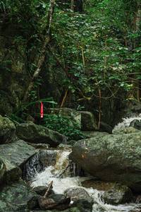 BIB: 
                            <button type="button" onclick="openModal(25142254)" class="btn btn-primary btn-sm float-right btn-popup" data-toggle="modal" data-target=".modal-high-quality">
                        <i class="fas fa-shopping-cart"></i> Add to Cart
                    </button>
                                            <button type="button" onclick="isThisMe(25142254, true)" class="btn btn-success btn-sm float-right btn-popup btn-isme hidden" data-toggle="tooltip" data-placement="bottom" title="นี่คือรูปของคุณใช่ไหม คลิกที่นี่เพื่อเอาเข้าอัลบั้ม">
                        <i class="fas fa-plus"></i> Add to album
                    </button>
                    <button type="button" onclick="isThisMe(25142254, false)" class="btn btn-warning btn-sm float-right btn-popup btn-isnotme hidden">
                        <i class="fas fa-ban"></i> Remove from album
                    </button>