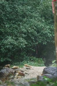 BIB: 
                            <button type="button" onclick="openModal(25148379)" class="btn btn-primary btn-sm float-right btn-popup" data-toggle="modal" data-target=".modal-high-quality">
                        <i class="fas fa-shopping-cart"></i> Add to Cart
                    </button>
                                            <button type="button" onclick="isThisMe(25148379, true)" class="btn btn-success btn-sm float-right btn-popup btn-isme hidden" data-toggle="tooltip" data-placement="bottom" title="นี่คือรูปของคุณใช่ไหม คลิกที่นี่เพื่อเอาเข้าอัลบั้ม">
                        <i class="fas fa-plus"></i> Add to album
                    </button>
                    <button type="button" onclick="isThisMe(25148379, false)" class="btn btn-warning btn-sm float-right btn-popup btn-isnotme hidden">
                        <i class="fas fa-ban"></i> Remove from album
                    </button>