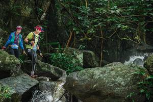 BIB: 
                            <button type="button" onclick="openModal(25145360)" class="btn btn-primary btn-sm float-right btn-popup" data-toggle="modal" data-target=".modal-high-quality">
                        <i class="fas fa-shopping-cart"></i> Add to Cart
                    </button>
                                            <button type="button" onclick="isThisMe(25145360, true)" class="btn btn-success btn-sm float-right btn-popup btn-isme hidden" data-toggle="tooltip" data-placement="bottom" title="นี่คือรูปของคุณใช่ไหม คลิกที่นี่เพื่อเอาเข้าอัลบั้ม">
                        <i class="fas fa-plus"></i> Add to album
                    </button>
                    <button type="button" onclick="isThisMe(25145360, false)" class="btn btn-warning btn-sm float-right btn-popup btn-isnotme hidden">
                        <i class="fas fa-ban"></i> Remove from album
                    </button>