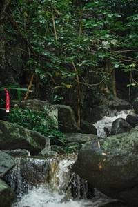 BIB: 
                            <button type="button" onclick="openModal(25142181)" class="btn btn-primary btn-sm float-right btn-popup" data-toggle="modal" data-target=".modal-high-quality">
                        <i class="fas fa-shopping-cart"></i> Add to Cart
                    </button>
                                            <button type="button" onclick="isThisMe(25142181, true)" class="btn btn-success btn-sm float-right btn-popup btn-isme hidden" data-toggle="tooltip" data-placement="bottom" title="นี่คือรูปของคุณใช่ไหม คลิกที่นี่เพื่อเอาเข้าอัลบั้ม">
                        <i class="fas fa-plus"></i> Add to album
                    </button>
                    <button type="button" onclick="isThisMe(25142181, false)" class="btn btn-warning btn-sm float-right btn-popup btn-isnotme hidden">
                        <i class="fas fa-ban"></i> Remove from album
                    </button>