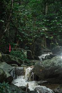 BIB: 
                            <button type="button" onclick="openModal(25142166)" class="btn btn-primary btn-sm float-right btn-popup" data-toggle="modal" data-target=".modal-high-quality">
                        <i class="fas fa-shopping-cart"></i> Add to Cart
                    </button>
                                            <button type="button" onclick="isThisMe(25142166, true)" class="btn btn-success btn-sm float-right btn-popup btn-isme hidden" data-toggle="tooltip" data-placement="bottom" title="นี่คือรูปของคุณใช่ไหม คลิกที่นี่เพื่อเอาเข้าอัลบั้ม">
                        <i class="fas fa-plus"></i> Add to album
                    </button>
                    <button type="button" onclick="isThisMe(25142166, false)" class="btn btn-warning btn-sm float-right btn-popup btn-isnotme hidden">
                        <i class="fas fa-ban"></i> Remove from album
                    </button>