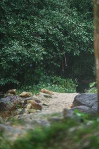 BIB: 
                            <button type="button" onclick="openModal(25148342)" class="btn btn-primary btn-sm float-right btn-popup" data-toggle="modal" data-target=".modal-high-quality">
                        <i class="fas fa-shopping-cart"></i> Add to Cart
                    </button>
                                            <button type="button" onclick="isThisMe(25148342, true)" class="btn btn-success btn-sm float-right btn-popup btn-isme hidden" data-toggle="tooltip" data-placement="bottom" title="นี่คือรูปของคุณใช่ไหม คลิกที่นี่เพื่อเอาเข้าอัลบั้ม">
                        <i class="fas fa-plus"></i> Add to album
                    </button>
                    <button type="button" onclick="isThisMe(25148342, false)" class="btn btn-warning btn-sm float-right btn-popup btn-isnotme hidden">
                        <i class="fas fa-ban"></i> Remove from album
                    </button>