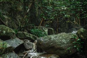 BIB: 
                            <button type="button" onclick="openModal(25147949)" class="btn btn-primary btn-sm float-right btn-popup" data-toggle="modal" data-target=".modal-high-quality">
                        <i class="fas fa-shopping-cart"></i> Add to Cart
                    </button>
                                            <button type="button" onclick="isThisMe(25147949, true)" class="btn btn-success btn-sm float-right btn-popup btn-isme hidden" data-toggle="tooltip" data-placement="bottom" title="นี่คือรูปของคุณใช่ไหม คลิกที่นี่เพื่อเอาเข้าอัลบั้ม">
                        <i class="fas fa-plus"></i> Add to album
                    </button>
                    <button type="button" onclick="isThisMe(25147949, false)" class="btn btn-warning btn-sm float-right btn-popup btn-isnotme hidden">
                        <i class="fas fa-ban"></i> Remove from album
                    </button>