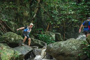 BIB: 
                            <button type="button" onclick="openModal(25144534)" class="btn btn-primary btn-sm float-right btn-popup" data-toggle="modal" data-target=".modal-high-quality">
                        <i class="fas fa-shopping-cart"></i> Add to Cart
                    </button>
                                            <button type="button" onclick="isThisMe(25144534, true)" class="btn btn-success btn-sm float-right btn-popup btn-isme hidden" data-toggle="tooltip" data-placement="bottom" title="นี่คือรูปของคุณใช่ไหม คลิกที่นี่เพื่อเอาเข้าอัลบั้ม">
                        <i class="fas fa-plus"></i> Add to album
                    </button>
                    <button type="button" onclick="isThisMe(25144534, false)" class="btn btn-warning btn-sm float-right btn-popup btn-isnotme hidden">
                        <i class="fas fa-ban"></i> Remove from album
                    </button>