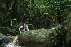 BIB: 
                            <button type="button" onclick="openModal(25142255)" class="btn btn-primary btn-sm float-right btn-popup" data-toggle="modal" data-target=".modal-high-quality">
                        <i class="fas fa-shopping-cart"></i> Add to Cart
                    </button>
                                            <button type="button" onclick="isThisMe(25142255, true)" class="btn btn-success btn-sm float-right btn-popup btn-isme hidden" data-toggle="tooltip" data-placement="bottom" title="นี่คือรูปของคุณใช่ไหม คลิกที่นี่เพื่อเอาเข้าอัลบั้ม">
                        <i class="fas fa-plus"></i> Add to album
                    </button>
                    <button type="button" onclick="isThisMe(25142255, false)" class="btn btn-warning btn-sm float-right btn-popup btn-isnotme hidden">
                        <i class="fas fa-ban"></i> Remove from album
                    </button>