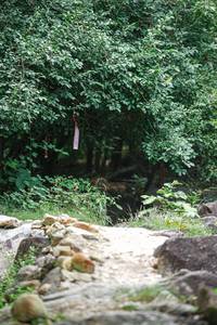 BIB: 
                            <button type="button" onclick="openModal(25148189)" class="btn btn-primary btn-sm float-right btn-popup" data-toggle="modal" data-target=".modal-high-quality">
                        <i class="fas fa-shopping-cart"></i> Add to Cart
                    </button>
                                            <button type="button" onclick="isThisMe(25148189, true)" class="btn btn-success btn-sm float-right btn-popup btn-isme hidden" data-toggle="tooltip" data-placement="bottom" title="นี่คือรูปของคุณใช่ไหม คลิกที่นี่เพื่อเอาเข้าอัลบั้ม">
                        <i class="fas fa-plus"></i> Add to album
                    </button>
                    <button type="button" onclick="isThisMe(25148189, false)" class="btn btn-warning btn-sm float-right btn-popup btn-isnotme hidden">
                        <i class="fas fa-ban"></i> Remove from album
                    </button>