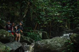 BIB: 
                            <button type="button" onclick="openModal(25154830)" class="btn btn-primary btn-sm float-right btn-popup" data-toggle="modal" data-target=".modal-high-quality">
                        <i class="fas fa-shopping-cart"></i> Add to Cart
                    </button>
                                            <button type="button" onclick="isThisMe(25154830, true)" class="btn btn-success btn-sm float-right btn-popup btn-isme hidden" data-toggle="tooltip" data-placement="bottom" title="นี่คือรูปของคุณใช่ไหม คลิกที่นี่เพื่อเอาเข้าอัลบั้ม">
                        <i class="fas fa-plus"></i> Add to album
                    </button>
                    <button type="button" onclick="isThisMe(25154830, false)" class="btn btn-warning btn-sm float-right btn-popup btn-isnotme hidden">
                        <i class="fas fa-ban"></i> Remove from album
                    </button>