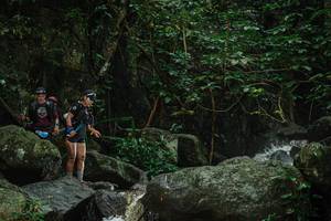 BIB: 
                            <button type="button" onclick="openModal(25154832)" class="btn btn-primary btn-sm float-right btn-popup" data-toggle="modal" data-target=".modal-high-quality">
                        <i class="fas fa-shopping-cart"></i> Add to Cart
                    </button>
                                            <button type="button" onclick="isThisMe(25154832, true)" class="btn btn-success btn-sm float-right btn-popup btn-isme hidden" data-toggle="tooltip" data-placement="bottom" title="นี่คือรูปของคุณใช่ไหม คลิกที่นี่เพื่อเอาเข้าอัลบั้ม">
                        <i class="fas fa-plus"></i> Add to album
                    </button>
                    <button type="button" onclick="isThisMe(25154832, false)" class="btn btn-warning btn-sm float-right btn-popup btn-isnotme hidden">
                        <i class="fas fa-ban"></i> Remove from album
                    </button>