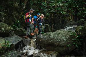 BIB: 
                            <button type="button" onclick="openModal(25154338)" class="btn btn-primary btn-sm float-right btn-popup" data-toggle="modal" data-target=".modal-high-quality">
                        <i class="fas fa-shopping-cart"></i> Add to Cart
                    </button>
                                            <button type="button" onclick="isThisMe(25154338, true)" class="btn btn-success btn-sm float-right btn-popup btn-isme hidden" data-toggle="tooltip" data-placement="bottom" title="นี่คือรูปของคุณใช่ไหม คลิกที่นี่เพื่อเอาเข้าอัลบั้ม">
                        <i class="fas fa-plus"></i> Add to album
                    </button>
                    <button type="button" onclick="isThisMe(25154338, false)" class="btn btn-warning btn-sm float-right btn-popup btn-isnotme hidden">
                        <i class="fas fa-ban"></i> Remove from album
                    </button>