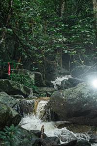 BIB: 
                            <button type="button" onclick="openModal(25142168)" class="btn btn-primary btn-sm float-right btn-popup" data-toggle="modal" data-target=".modal-high-quality">
                        <i class="fas fa-shopping-cart"></i> Add to Cart
                    </button>
                                            <button type="button" onclick="isThisMe(25142168, true)" class="btn btn-success btn-sm float-right btn-popup btn-isme hidden" data-toggle="tooltip" data-placement="bottom" title="นี่คือรูปของคุณใช่ไหม คลิกที่นี่เพื่อเอาเข้าอัลบั้ม">
                        <i class="fas fa-plus"></i> Add to album
                    </button>
                    <button type="button" onclick="isThisMe(25142168, false)" class="btn btn-warning btn-sm float-right btn-popup btn-isnotme hidden">
                        <i class="fas fa-ban"></i> Remove from album
                    </button>