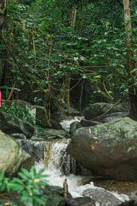 BIB: 
                            <button type="button" onclick="openModal(25142250)" class="btn btn-primary btn-sm float-right btn-popup" data-toggle="modal" data-target=".modal-high-quality">
                        <i class="fas fa-shopping-cart"></i> Add to Cart
                    </button>
                                            <button type="button" onclick="isThisMe(25142250, true)" class="btn btn-success btn-sm float-right btn-popup btn-isme hidden" data-toggle="tooltip" data-placement="bottom" title="นี่คือรูปของคุณใช่ไหม คลิกที่นี่เพื่อเอาเข้าอัลบั้ม">
                        <i class="fas fa-plus"></i> Add to album
                    </button>
                    <button type="button" onclick="isThisMe(25142250, false)" class="btn btn-warning btn-sm float-right btn-popup btn-isnotme hidden">
                        <i class="fas fa-ban"></i> Remove from album
                    </button>