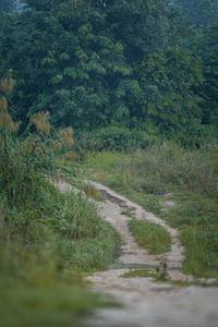 BIB: 
                            <button type="button" onclick="openModal(25125223)" class="btn btn-primary btn-sm float-right btn-popup" data-toggle="modal" data-target=".modal-high-quality">
                        <i class="fas fa-shopping-cart"></i> Add to Cart
                    </button>
                                            <button type="button" onclick="isThisMe(25125223, true)" class="btn btn-success btn-sm float-right btn-popup btn-isme hidden" data-toggle="tooltip" data-placement="bottom" title="นี่คือรูปของคุณใช่ไหม คลิกที่นี่เพื่อเอาเข้าอัลบั้ม">
                        <i class="fas fa-plus"></i> Add to album
                    </button>
                    <button type="button" onclick="isThisMe(25125223, false)" class="btn btn-warning btn-sm float-right btn-popup btn-isnotme hidden">
                        <i class="fas fa-ban"></i> Remove from album
                    </button>