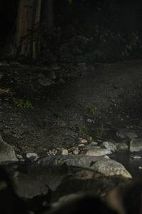 BIB: 
                            <button type="button" onclick="openModal(25151584)" class="btn btn-primary btn-sm float-right btn-popup" data-toggle="modal" data-target=".modal-high-quality">
                        <i class="fas fa-shopping-cart"></i> Add to Cart
                    </button>
                                            <button type="button" onclick="isThisMe(25151584, true)" class="btn btn-success btn-sm float-right btn-popup btn-isme hidden" data-toggle="tooltip" data-placement="bottom" title="นี่คือรูปของคุณใช่ไหม คลิกที่นี่เพื่อเอาเข้าอัลบั้ม">
                        <i class="fas fa-plus"></i> Add to album
                    </button>
                    <button type="button" onclick="isThisMe(25151584, false)" class="btn btn-warning btn-sm float-right btn-popup btn-isnotme hidden">
                        <i class="fas fa-ban"></i> Remove from album
                    </button>