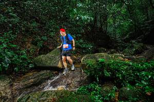 BIB: 
                            <button type="button" onclick="openModal(25138254)" class="btn btn-primary btn-sm float-right btn-popup" data-toggle="modal" data-target=".modal-high-quality">
                        <i class="fas fa-shopping-cart"></i> Add to Cart
                    </button>
                                            <button type="button" onclick="isThisMe(25138254, true)" class="btn btn-success btn-sm float-right btn-popup btn-isme hidden" data-toggle="tooltip" data-placement="bottom" title="นี่คือรูปของคุณใช่ไหม คลิกที่นี่เพื่อเอาเข้าอัลบั้ม">
                        <i class="fas fa-plus"></i> Add to album
                    </button>
                    <button type="button" onclick="isThisMe(25138254, false)" class="btn btn-warning btn-sm float-right btn-popup btn-isnotme hidden">
                        <i class="fas fa-ban"></i> Remove from album
                    </button>