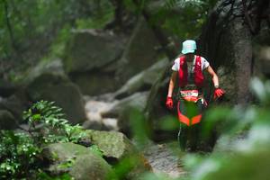 BIB: 
                            <button type="button" onclick="openModal(25211320)" class="btn btn-primary btn-sm float-right btn-popup" data-toggle="modal" data-target=".modal-high-quality">
                        <i class="fas fa-shopping-cart"></i> Add to Cart
                    </button>
                                            <button type="button" onclick="isThisMe(25211320, true)" class="btn btn-success btn-sm float-right btn-popup btn-isme hidden" data-toggle="tooltip" data-placement="bottom" title="นี่คือรูปของคุณใช่ไหม คลิกที่นี่เพื่อเอาเข้าอัลบั้ม">
                        <i class="fas fa-plus"></i> Add to album
                    </button>
                    <button type="button" onclick="isThisMe(25211320, false)" class="btn btn-warning btn-sm float-right btn-popup btn-isnotme hidden">
                        <i class="fas fa-ban"></i> Remove from album
                    </button>