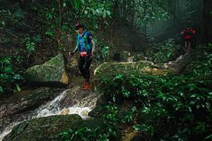 BIB: 
                            <button type="button" onclick="openModal(25144900)" class="btn btn-primary btn-sm float-right btn-popup" data-toggle="modal" data-target=".modal-high-quality">
                        <i class="fas fa-shopping-cart"></i> Add to Cart
                    </button>
                                            <button type="button" onclick="isThisMe(25144900, true)" class="btn btn-success btn-sm float-right btn-popup btn-isme hidden" data-toggle="tooltip" data-placement="bottom" title="นี่คือรูปของคุณใช่ไหม คลิกที่นี่เพื่อเอาเข้าอัลบั้ม">
                        <i class="fas fa-plus"></i> Add to album
                    </button>
                    <button type="button" onclick="isThisMe(25144900, false)" class="btn btn-warning btn-sm float-right btn-popup btn-isnotme hidden">
                        <i class="fas fa-ban"></i> Remove from album
                    </button>