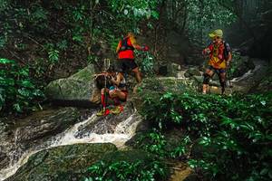 BIB: 
                            <button type="button" onclick="openModal(25144294)" class="btn btn-primary btn-sm float-right btn-popup" data-toggle="modal" data-target=".modal-high-quality">
                        <i class="fas fa-shopping-cart"></i> Add to Cart
                    </button>
                                            <button type="button" onclick="isThisMe(25144294, true)" class="btn btn-success btn-sm float-right btn-popup btn-isme hidden" data-toggle="tooltip" data-placement="bottom" title="นี่คือรูปของคุณใช่ไหม คลิกที่นี่เพื่อเอาเข้าอัลบั้ม">
                        <i class="fas fa-plus"></i> Add to album
                    </button>
                    <button type="button" onclick="isThisMe(25144294, false)" class="btn btn-warning btn-sm float-right btn-popup btn-isnotme hidden">
                        <i class="fas fa-ban"></i> Remove from album
                    </button>