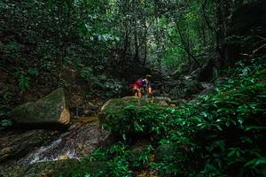 BIB: 
                            <button type="button" onclick="openModal(25136837)" class="btn btn-primary btn-sm float-right btn-popup" data-toggle="modal" data-target=".modal-high-quality">
                        <i class="fas fa-shopping-cart"></i> Add to Cart
                    </button>
                                            <button type="button" onclick="isThisMe(25136837, true)" class="btn btn-success btn-sm float-right btn-popup btn-isme hidden" data-toggle="tooltip" data-placement="bottom" title="นี่คือรูปของคุณใช่ไหม คลิกที่นี่เพื่อเอาเข้าอัลบั้ม">
                        <i class="fas fa-plus"></i> Add to album
                    </button>
                    <button type="button" onclick="isThisMe(25136837, false)" class="btn btn-warning btn-sm float-right btn-popup btn-isnotme hidden">
                        <i class="fas fa-ban"></i> Remove from album
                    </button>