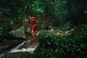 BIB: 
                            <button type="button" onclick="openModal(25143876)" class="btn btn-primary btn-sm float-right btn-popup" data-toggle="modal" data-target=".modal-high-quality">
                        <i class="fas fa-shopping-cart"></i> Add to Cart
                    </button>
                                            <button type="button" onclick="isThisMe(25143876, true)" class="btn btn-success btn-sm float-right btn-popup btn-isme hidden" data-toggle="tooltip" data-placement="bottom" title="นี่คือรูปของคุณใช่ไหม คลิกที่นี่เพื่อเอาเข้าอัลบั้ม">
                        <i class="fas fa-plus"></i> Add to album
                    </button>
                    <button type="button" onclick="isThisMe(25143876, false)" class="btn btn-warning btn-sm float-right btn-popup btn-isnotme hidden">
                        <i class="fas fa-ban"></i> Remove from album
                    </button>