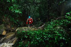 BIB: 
                            <button type="button" onclick="openModal(25140337)" class="btn btn-primary btn-sm float-right btn-popup" data-toggle="modal" data-target=".modal-high-quality">
                        <i class="fas fa-shopping-cart"></i> Add to Cart
                    </button>
                                            <button type="button" onclick="isThisMe(25140337, true)" class="btn btn-success btn-sm float-right btn-popup btn-isme hidden" data-toggle="tooltip" data-placement="bottom" title="นี่คือรูปของคุณใช่ไหม คลิกที่นี่เพื่อเอาเข้าอัลบั้ม">
                        <i class="fas fa-plus"></i> Add to album
                    </button>
                    <button type="button" onclick="isThisMe(25140337, false)" class="btn btn-warning btn-sm float-right btn-popup btn-isnotme hidden">
                        <i class="fas fa-ban"></i> Remove from album
                    </button>