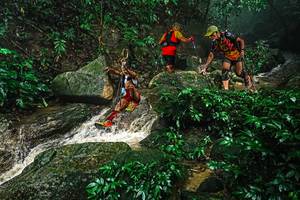 BIB: 
                            <button type="button" onclick="openModal(25144297)" class="btn btn-primary btn-sm float-right btn-popup" data-toggle="modal" data-target=".modal-high-quality">
                        <i class="fas fa-shopping-cart"></i> Add to Cart
                    </button>
                                            <button type="button" onclick="isThisMe(25144297, true)" class="btn btn-success btn-sm float-right btn-popup btn-isme hidden" data-toggle="tooltip" data-placement="bottom" title="นี่คือรูปของคุณใช่ไหม คลิกที่นี่เพื่อเอาเข้าอัลบั้ม">
                        <i class="fas fa-plus"></i> Add to album
                    </button>
                    <button type="button" onclick="isThisMe(25144297, false)" class="btn btn-warning btn-sm float-right btn-popup btn-isnotme hidden">
                        <i class="fas fa-ban"></i> Remove from album
                    </button>