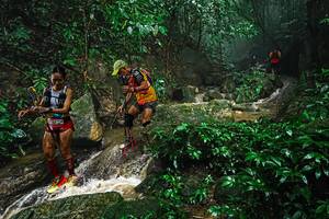 BIB: 
                            <button type="button" onclick="openModal(25144336)" class="btn btn-primary btn-sm float-right btn-popup" data-toggle="modal" data-target=".modal-high-quality">
                        <i class="fas fa-shopping-cart"></i> Add to Cart
                    </button>
                                            <button type="button" onclick="isThisMe(25144336, true)" class="btn btn-success btn-sm float-right btn-popup btn-isme hidden" data-toggle="tooltip" data-placement="bottom" title="นี่คือรูปของคุณใช่ไหม คลิกที่นี่เพื่อเอาเข้าอัลบั้ม">
                        <i class="fas fa-plus"></i> Add to album
                    </button>
                    <button type="button" onclick="isThisMe(25144336, false)" class="btn btn-warning btn-sm float-right btn-popup btn-isnotme hidden">
                        <i class="fas fa-ban"></i> Remove from album
                    </button>