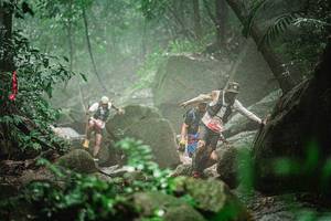 BIB: 
                            <button type="button" onclick="openModal(25158883)" class="btn btn-primary btn-sm float-right btn-popup" data-toggle="modal" data-target=".modal-high-quality">
                        <i class="fas fa-shopping-cart"></i> Add to Cart
                    </button>
                                            <button type="button" onclick="isThisMe(25158883, true)" class="btn btn-success btn-sm float-right btn-popup btn-isme hidden" data-toggle="tooltip" data-placement="bottom" title="นี่คือรูปของคุณใช่ไหม คลิกที่นี่เพื่อเอาเข้าอัลบั้ม">
                        <i class="fas fa-plus"></i> Add to album
                    </button>
                    <button type="button" onclick="isThisMe(25158883, false)" class="btn btn-warning btn-sm float-right btn-popup btn-isnotme hidden">
                        <i class="fas fa-ban"></i> Remove from album
                    </button>