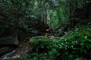 BIB: 
                            <button type="button" onclick="openModal(25136765)" class="btn btn-primary btn-sm float-right btn-popup" data-toggle="modal" data-target=".modal-high-quality">
                        <i class="fas fa-shopping-cart"></i> Add to Cart
                    </button>
                                            <button type="button" onclick="isThisMe(25136765, true)" class="btn btn-success btn-sm float-right btn-popup btn-isme hidden" data-toggle="tooltip" data-placement="bottom" title="นี่คือรูปของคุณใช่ไหม คลิกที่นี่เพื่อเอาเข้าอัลบั้ม">
                        <i class="fas fa-plus"></i> Add to album
                    </button>
                    <button type="button" onclick="isThisMe(25136765, false)" class="btn btn-warning btn-sm float-right btn-popup btn-isnotme hidden">
                        <i class="fas fa-ban"></i> Remove from album
                    </button>