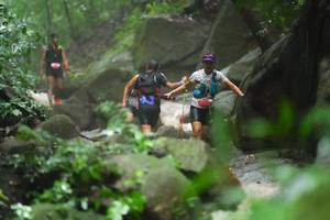 BIB: 
                            <button type="button" onclick="openModal(25211411)" class="btn btn-primary btn-sm float-right btn-popup" data-toggle="modal" data-target=".modal-high-quality">
                        <i class="fas fa-shopping-cart"></i> Add to Cart
                    </button>
                                            <button type="button" onclick="isThisMe(25211411, true)" class="btn btn-success btn-sm float-right btn-popup btn-isme hidden" data-toggle="tooltip" data-placement="bottom" title="นี่คือรูปของคุณใช่ไหม คลิกที่นี่เพื่อเอาเข้าอัลบั้ม">
                        <i class="fas fa-plus"></i> Add to album
                    </button>
                    <button type="button" onclick="isThisMe(25211411, false)" class="btn btn-warning btn-sm float-right btn-popup btn-isnotme hidden">
                        <i class="fas fa-ban"></i> Remove from album
                    </button>