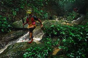 BIB: 
                            <button type="button" onclick="openModal(25144360)" class="btn btn-primary btn-sm float-right btn-popup" data-toggle="modal" data-target=".modal-high-quality">
                        <i class="fas fa-shopping-cart"></i> Add to Cart
                    </button>
                                            <button type="button" onclick="isThisMe(25144360, true)" class="btn btn-success btn-sm float-right btn-popup btn-isme hidden" data-toggle="tooltip" data-placement="bottom" title="นี่คือรูปของคุณใช่ไหม คลิกที่นี่เพื่อเอาเข้าอัลบั้ม">
                        <i class="fas fa-plus"></i> Add to album
                    </button>
                    <button type="button" onclick="isThisMe(25144360, false)" class="btn btn-warning btn-sm float-right btn-popup btn-isnotme hidden">
                        <i class="fas fa-ban"></i> Remove from album
                    </button>